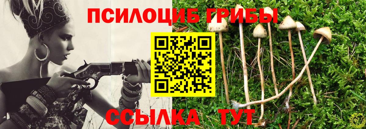 Псилоцибиновые грибы Cubensis  Вход с VPN  цены   Мценск 